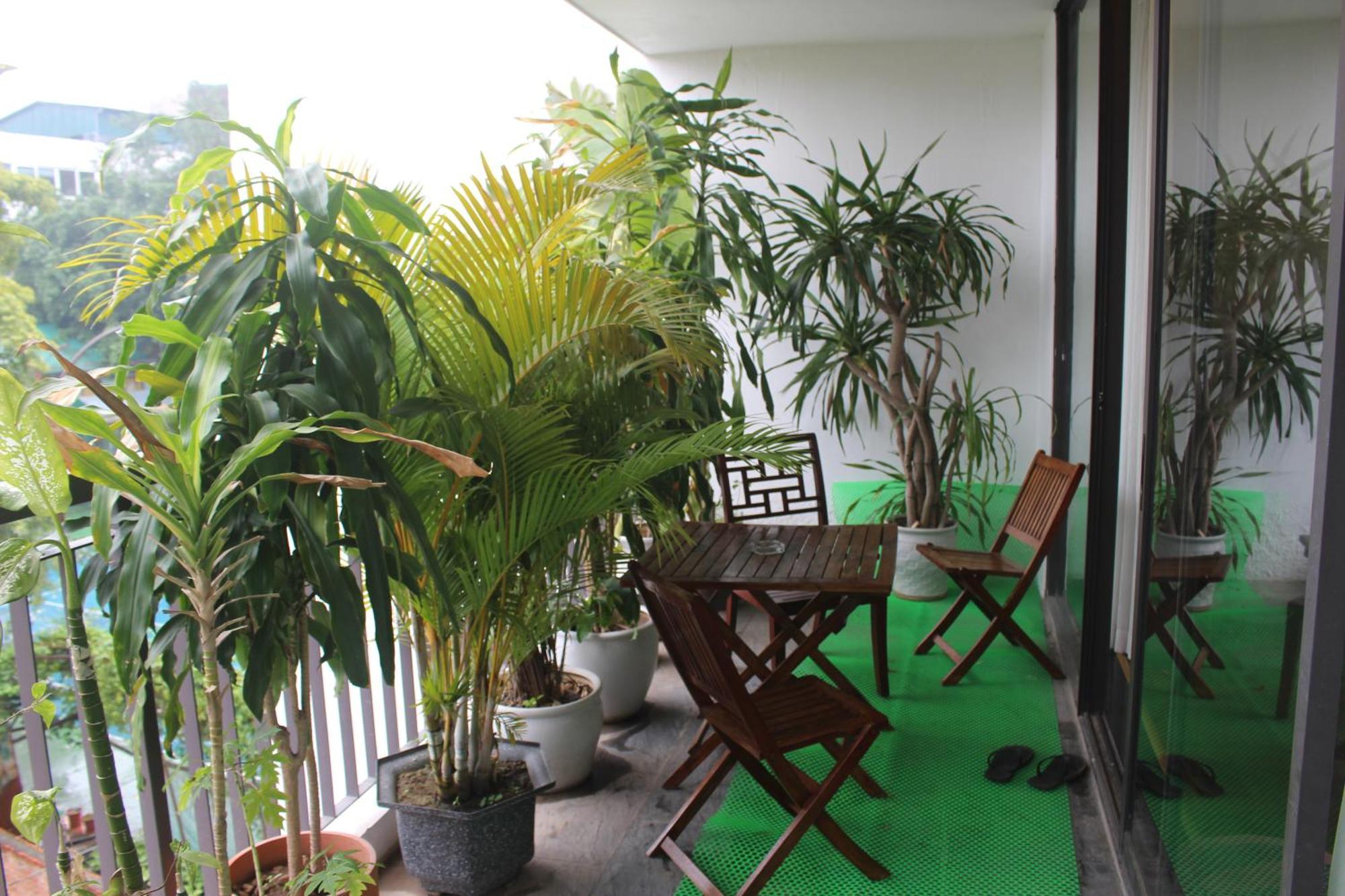 Davidduc's Luxury 15/41 Tay Ho * Hanoi